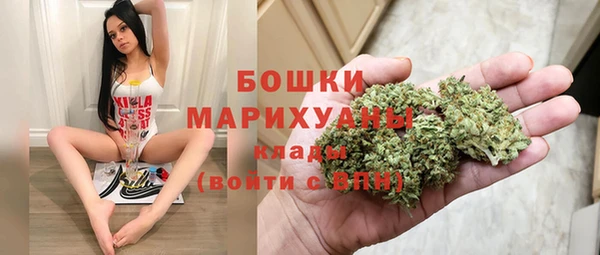 спайс Ельня