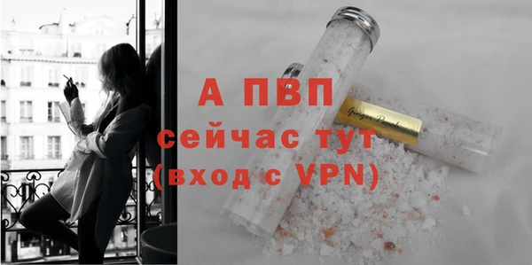 сатива Заводоуковск