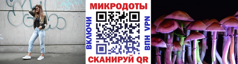Галлюциногенные грибы GOLDEN TEACHER  Купить закладки  Вичуга 